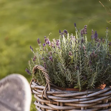 Otel Garni Am Sonnberg